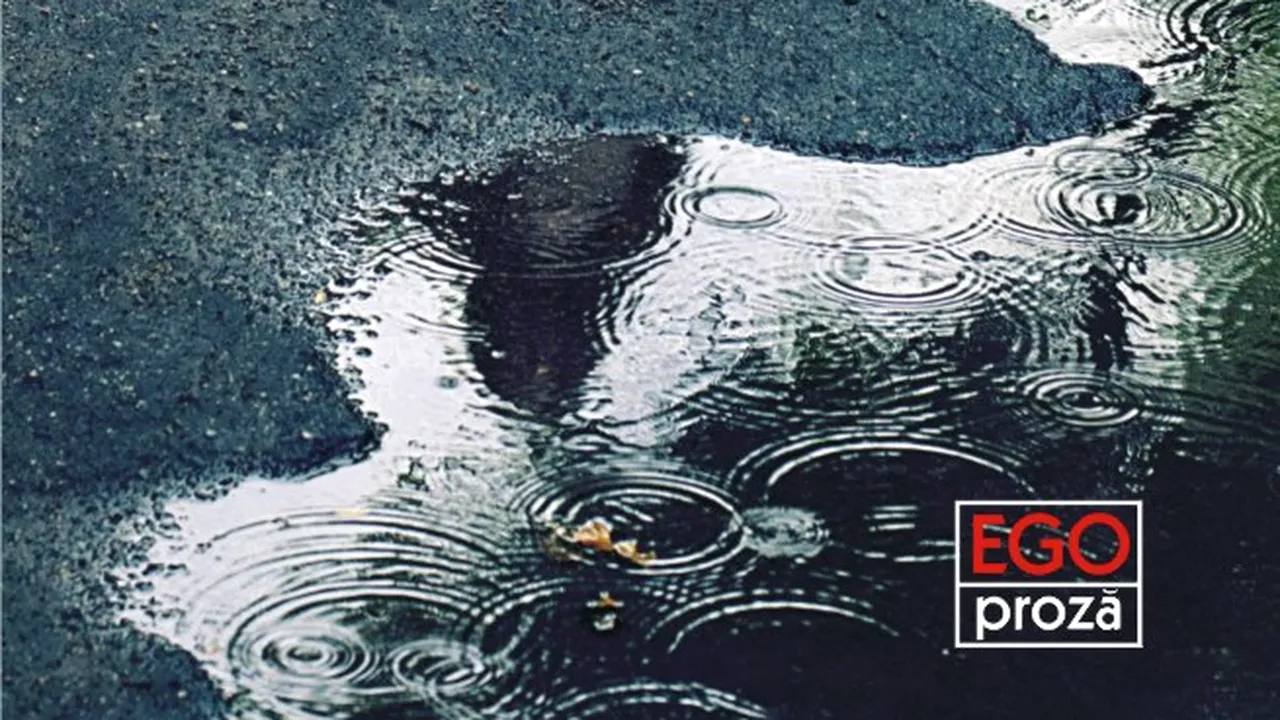 O carte pe zi: „Fragil” de Simona Goşu