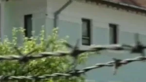 Jaf cu obiecte de artă: Tablouri de Grigorescu, Tonitza, Băncilă şi Baba, furate dintr-o locuinţă - VIDEO