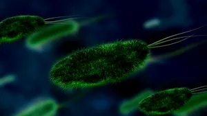 Noile moduri surprinzătoare prin care se răspândesc bacteriile