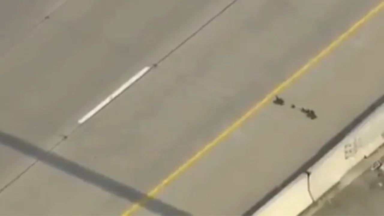 AVENTURA VIEŢII: Cum traversează o raţă şi bobocii ei o autostradă cu şase benzi - VIDEO