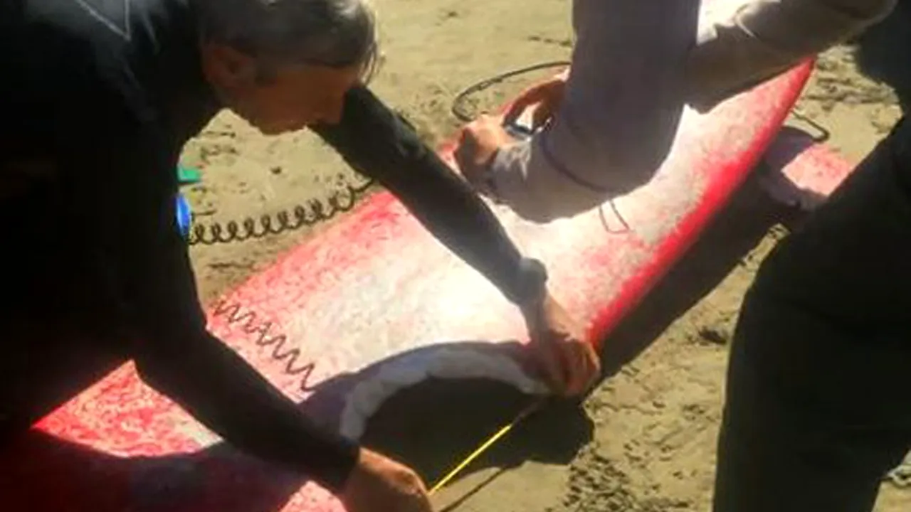 Momente de groază: O femeie a scăpat nevătămată după ce un rechin i-a muşcat placa de surf – VIDEO
