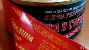 Soldaţii ruşi dintr-o unitate militară, hrăniţi cu mâncare pentru câini