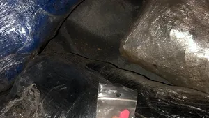 FOTO. Maramureş: Tineri care aveau 2,5 kg de cannabis în troller, prinşi de poliţişti