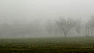 Ceaţă densă în Argeş, Ilfov, Buzău şi Ialomiţa