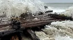 Oceanul a dat înapoi o bucată de istorie. Furtuna din SUA a scos la iveală rămășițele unei nave scufundate acum 142 de ani