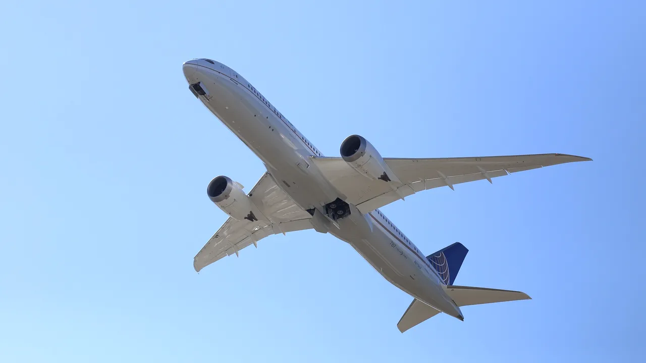 Un avion s-a întors de urgenţă la aeroportul de pe care a plecat după ce un organ uman a fost uitat la bord
