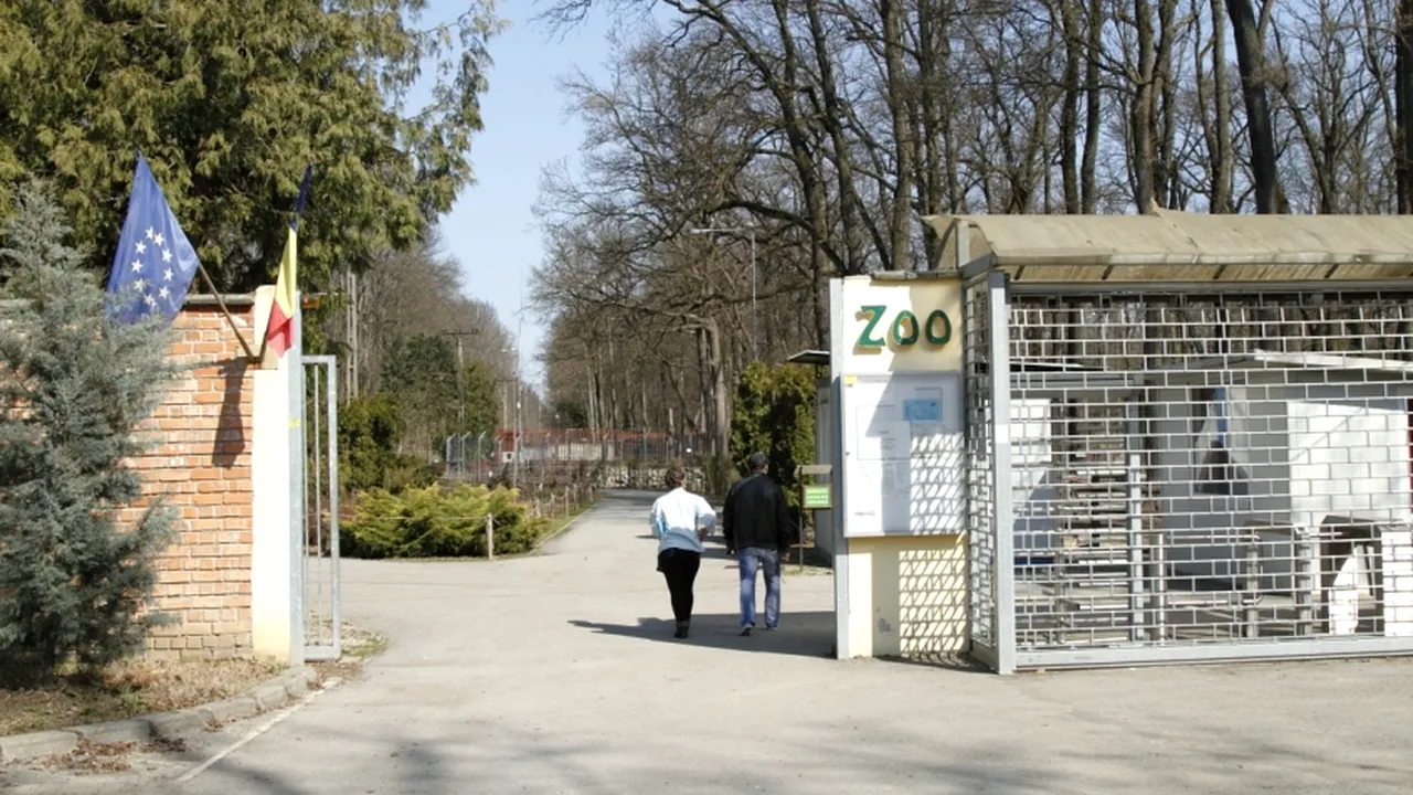 Cangurii de la Grădina Zoologică Timişoara au fost ucişi de trei câini. Vizitatorii cer ca măsurile de securitate să fie sporite