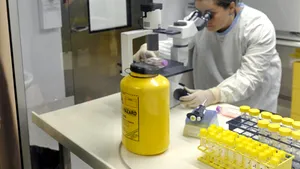 OMS: 79 de cazuri confirmate de gripă porcină în lume