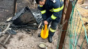 Pompierii români intervin în Franţa pentru stingerea incendiilor la sud de  Bordeaux