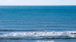 Oceanele se apropie de temperaturi record. Observatorul european Copernicus trage un semnal de alarmă