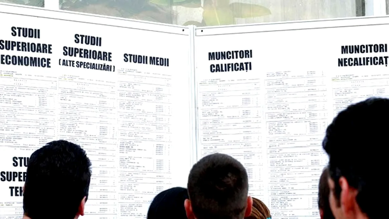 ANOFM: Peste 8.900 de posturi vacante, la nivel naţional, în perioada 13 - 19 septembrie. Ce domenii sunt cele mai căutate