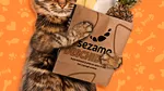Pisicile domină achizițiile din pet shop-ul supermarketului online Sezamo, reprezentând 77% din vânzările categoriei
