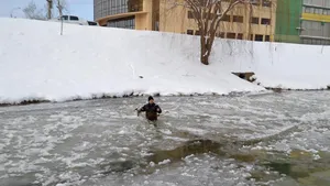 Două raţe sălbatice au fost salvate de pompierii din Sibiu, din apa îngheţată a râului Cibin