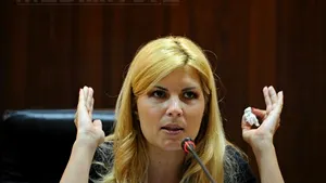 Udrea: România creşte, dar să fim atenţi la criza internaţională. Nu avem voie să mărim salarii şi pensii