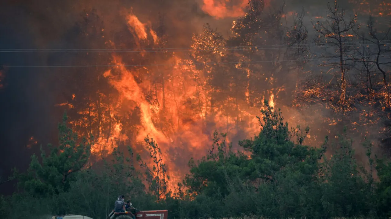 Turcia arde la malul Mediteranei: Două provincii au fost declarate zone de dezastru