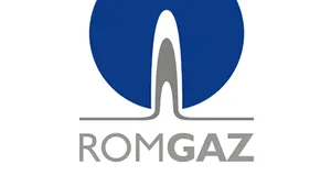 EXCLUSIV- AFACEREA ROMGAZ: Niculae se erija în şef al celor şase combinate chimice, iar oficialii acceptau