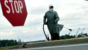 OMS: Europa nu poate face faţă unei epidemii a gripei aviare