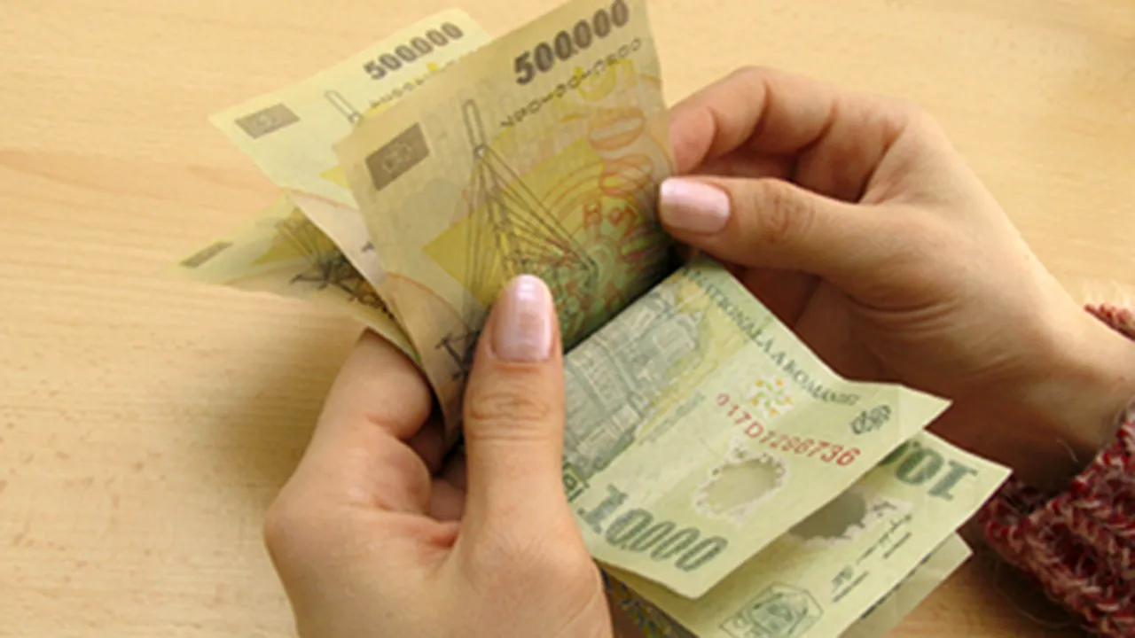 Half Of Romania’s Public Sector Workers Earn Less Than RON1,500/Month