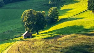 Un milionar a construit o fermă uriașă care să-i asigure supraviețuirea în diferite scenarii apocaliptice. Aceasta poate găzdui sute de oameni