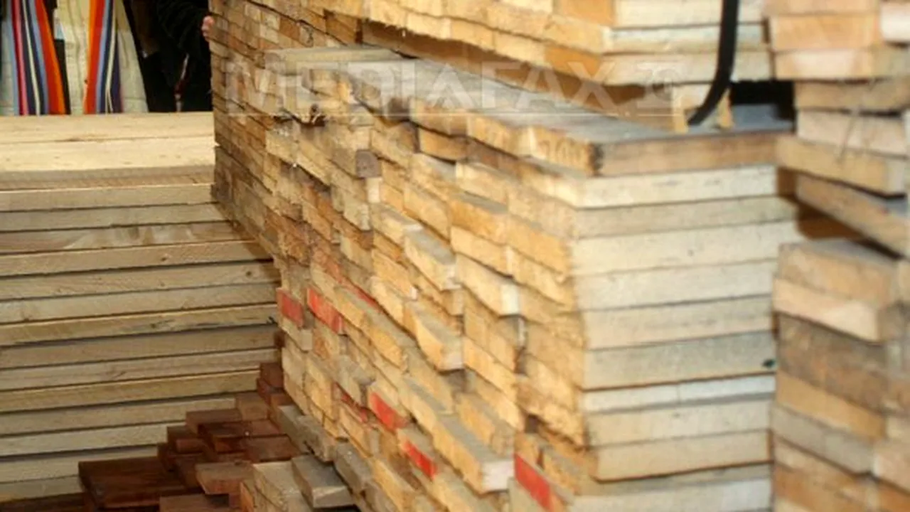 Ministerul Mediului a sesizat Parchetul instanţei supreme în cazul Holzindustrie Schweighofer 