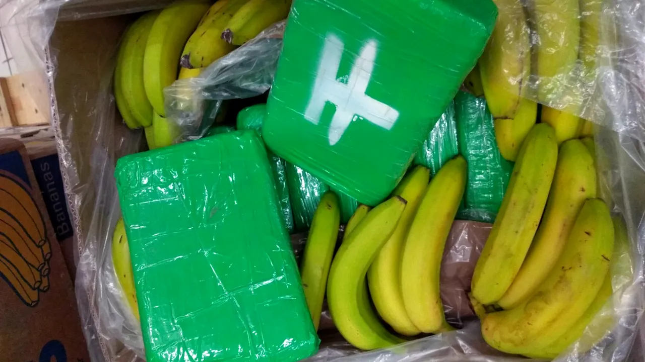 Cocaină de 250 de milioane de dolari destinată Europei, ascunsă într-un transport de banane