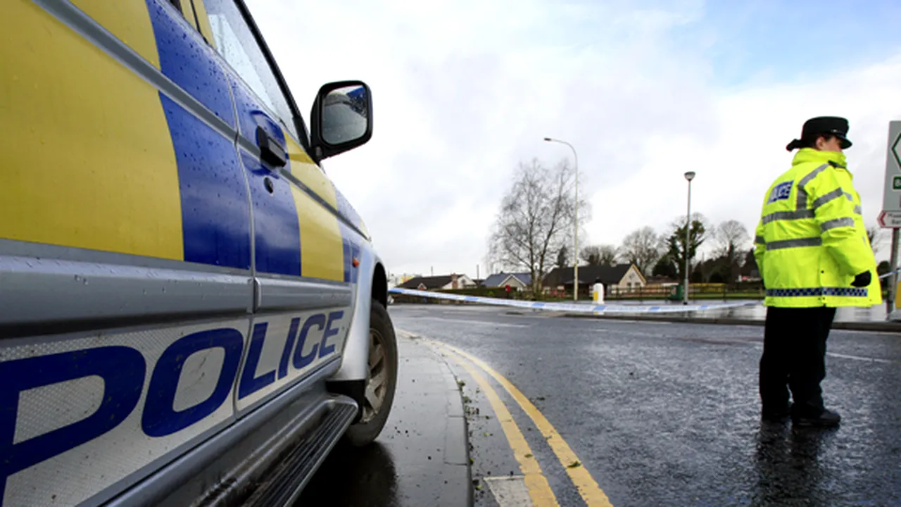 Vicepreşedintele PDL Hunedoara, suspect de crimă la Dublin