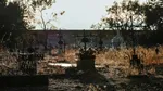Saci cu oseminte descoperiți într-un cimitir din Slatina. Anterior, primarul a vorbit despre cadavre din perioada COVID