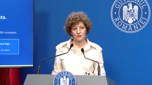 Oana Gheorghiu: TAROM, o companie aflată în zbor direct către eșec
