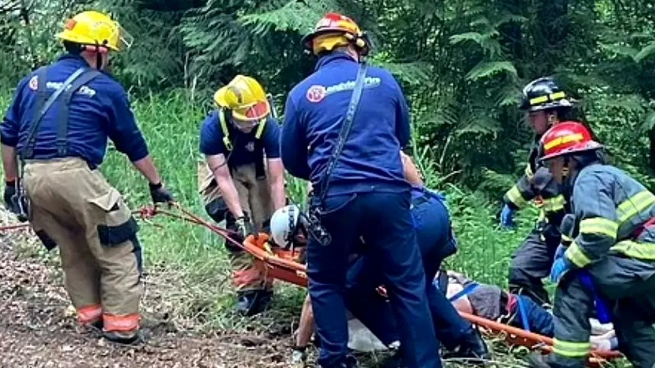 Un bărbat a supravieţuit cinci zile în sălbăticie după ce s-a prăbuşit cu maşina într-o râpă