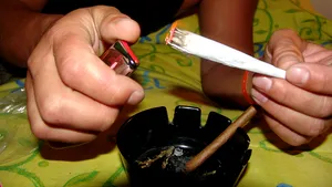 Pentru unii ar fi jobul ideal. Un site vrea să angajeze o persoană care fumează marijuana zilnic, pentru 36.000 dolari pe an