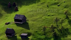 Ajutor de stat de 309.500 euro pentru agricultorii care doresc să depoziteze carnea de porc