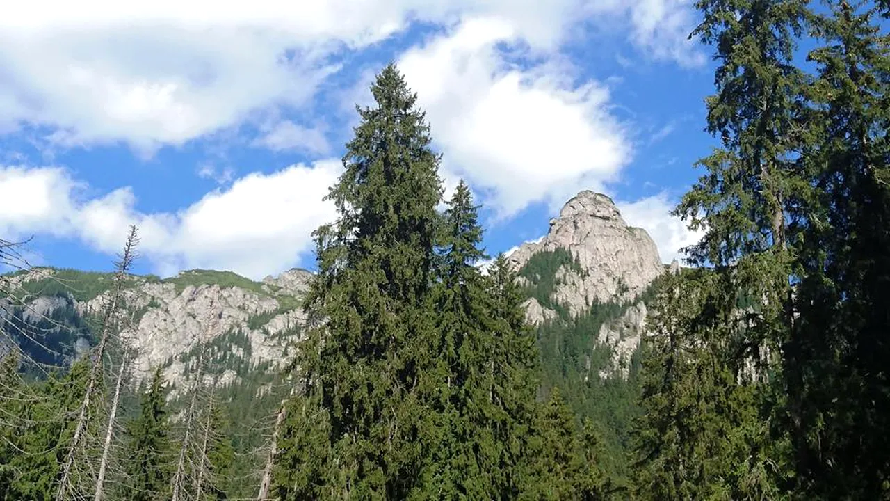 Un turist care a urcat pe munte are nevoie de ajutorul salvamontiştilor, din cauza epuizării: 