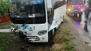 Mureș: Trei copii au ajuns la spital după ce un microbuz a intrat în șanțul de pe marginea drumului