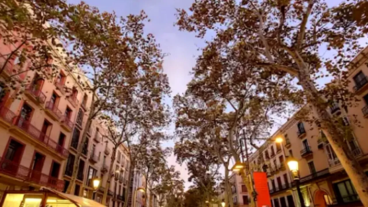 În acest weekend în Barcelona, cumperi o floare pe Rambla și primești o plimbare gratuită cu barca