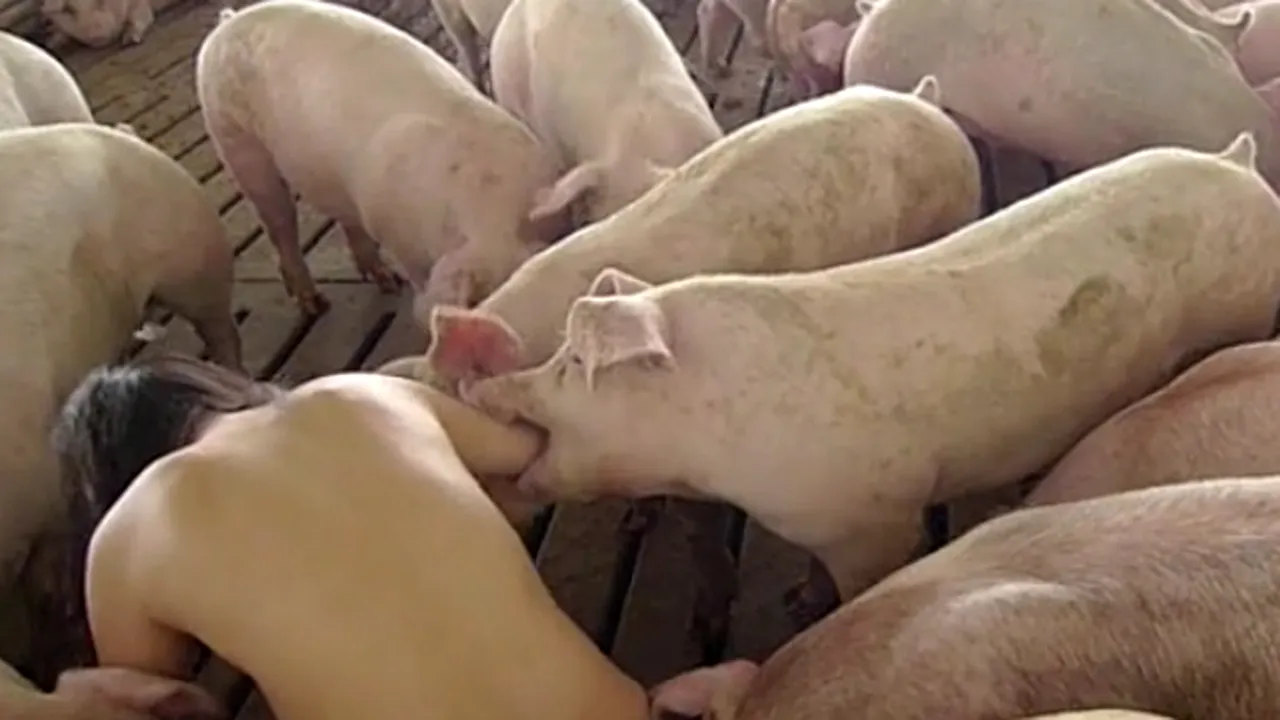 INCREDIBIL: Femeia care trăieşte complet goală, alături de porci - VIDEO