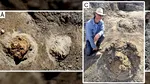 Primele urme de pași ale unui T-Rex adult, descoperite în Dakota de Nord. Ce au aflat cercetătorii