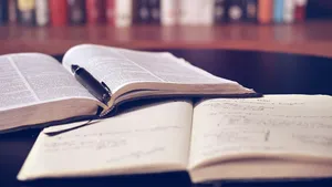 Roman de debut din izolare: Ema Stere despre cartea cu care a câştigat concursul editurii Polirom