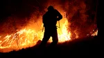 Incendii de vegetație în șase județe. Peste 500 de hectare sunt afectate