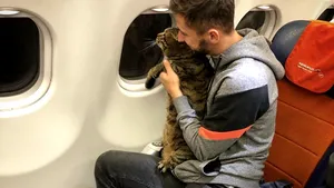 Pedeapsa primită de un rus care a fentat o companie aeriană pentru a se urca cu motanul supraponderal în avion