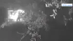 O gâscă a salvat o familie de la un incendiu devastator