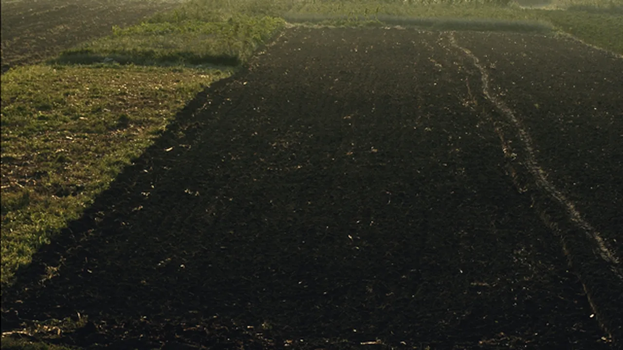 Oficialii din R. Moldova vor să-l convingă pe Porumboiu să investească în agricultura lor