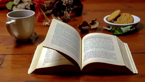 Pastila de lectură: Scriitoarea Saviana Stănescu din New York recomandă ”Party of one”, manifestul singuraticului