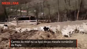 Cât va costă un kilogram de miel pentru Paşte în contextul crizei provocate de coronavirus