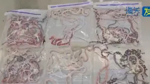 Un bărbat arestat în China avea peste 100 de şerpi în pantaloni