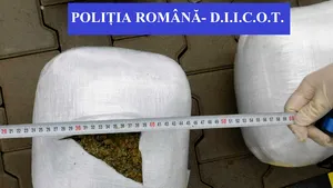 Captură de 17 kilograme de canabis într-un microbuz. Bărbatul tocmai ajunsese în ţară din Spania