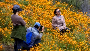 „Invazia selfie-urilor” creează haos într-un orăşel din California. Motivul pentru care autorităţile anunţă interzicerea accesului în zonă | VIDEO