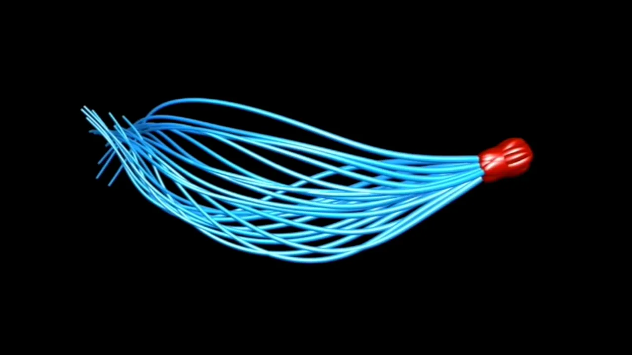 Spermatozoizii i-au păcălit pe oamenii de ştiinţă timp de 350 de ani