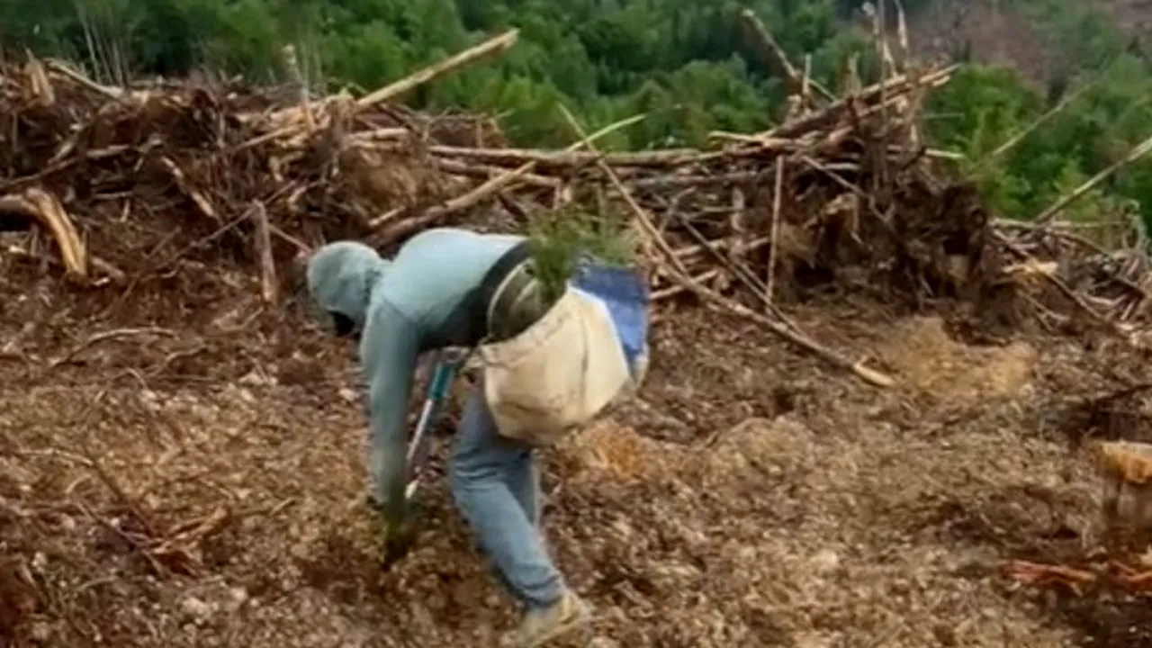 Schimbarea începe cu tine(ri). Are 23 de ani şi a doborât recordul la plantatul de copaci VIDEO