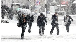 Ninge în Harghita. Drumarii intervin cu utilaje şi materiale antiderapante