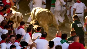 Doi spanioli au fost răniți de tauri la încheierea festivalului de la San Fermin